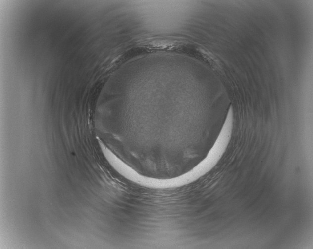 X0000064761394200603031747