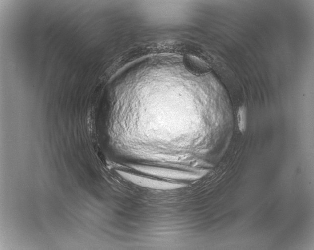 X0000064761395200603031747