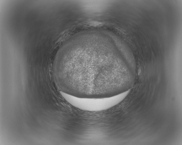 X0000064761397200603031747