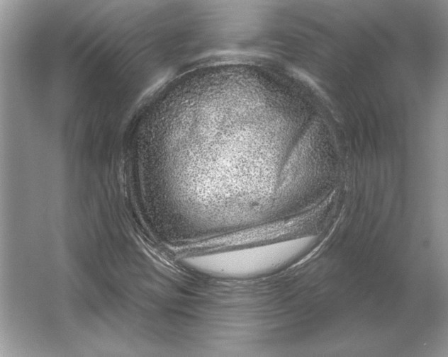 X0000064761403200603031747