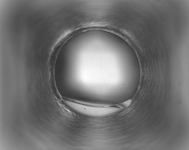 X0000064761406200603031747