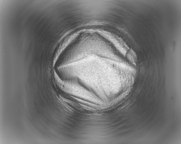 X0000064761409200603031747