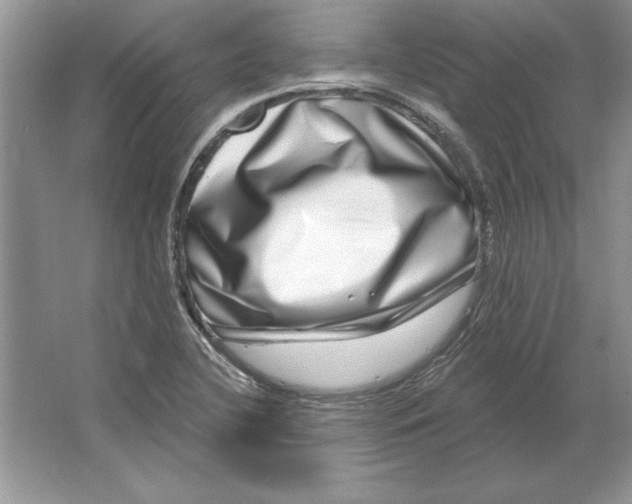 X0000064761412200603031747