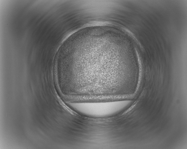 X0000064761417200603031747