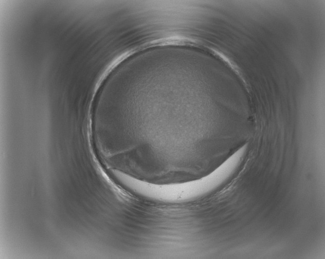 X0000064761418200603031747