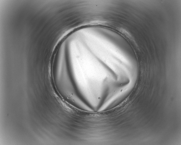 X0000064761420200603031747