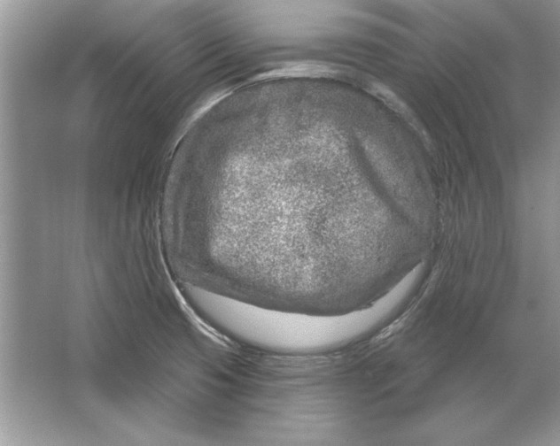 X0000064761425200603031748