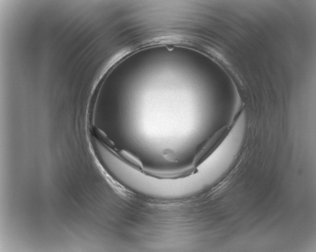 X0000064761426200603031748