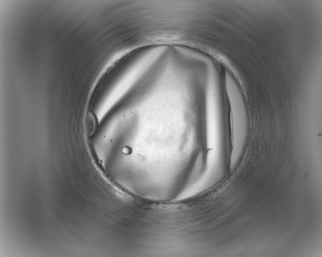 X0000064761432200603031748