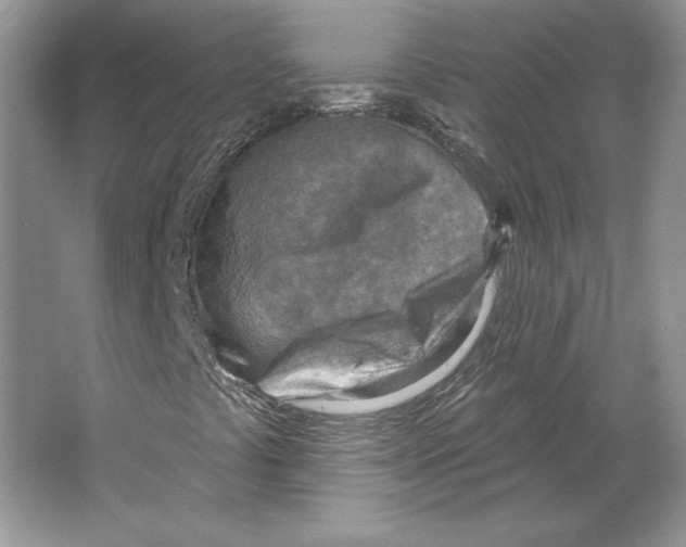 X0000064761441200603031747