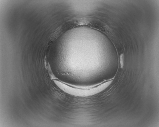 X0000064761443200603031747
