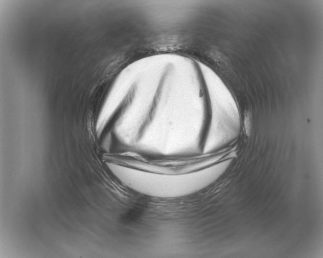 X0000064761444200603031747