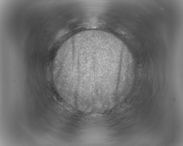 X0000064761446200603031747
