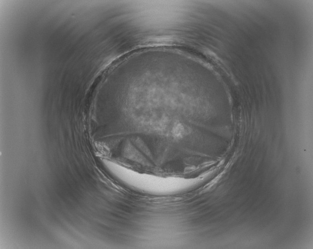 X0000064761449200603031747
