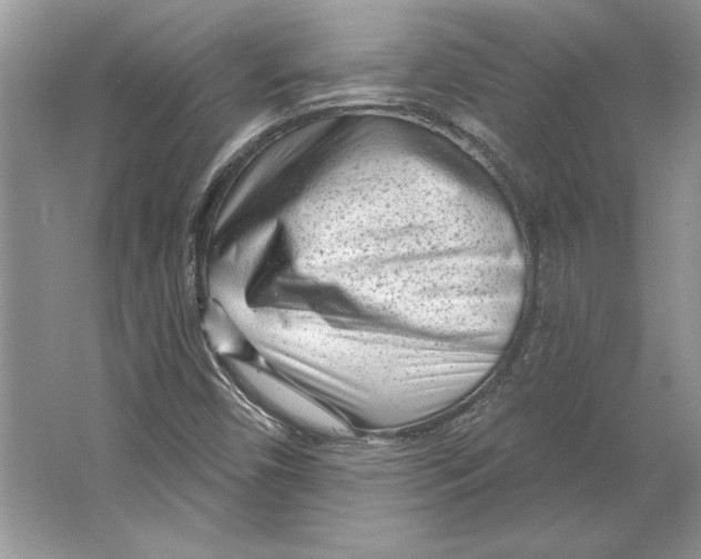 X0000064761450200603031747