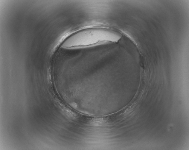 X0000064761455200603031747
