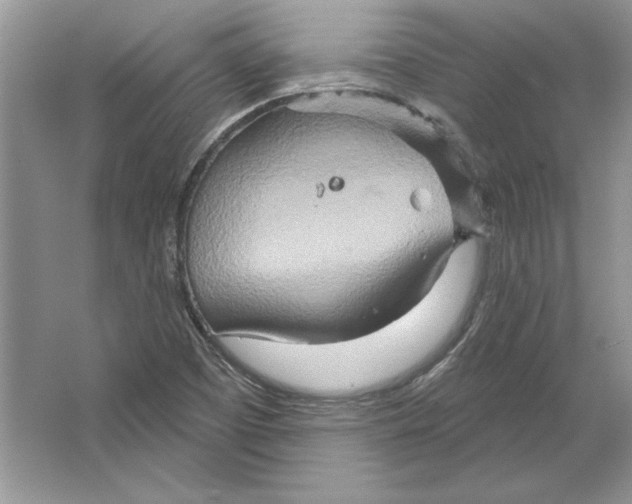 X0000064761457200603031747