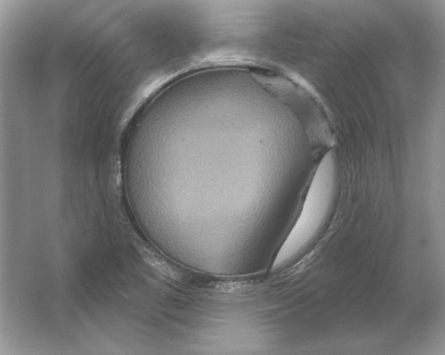 X0000064761461200603031747