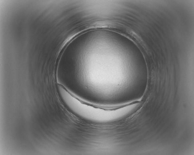 X0000064761465200603031747