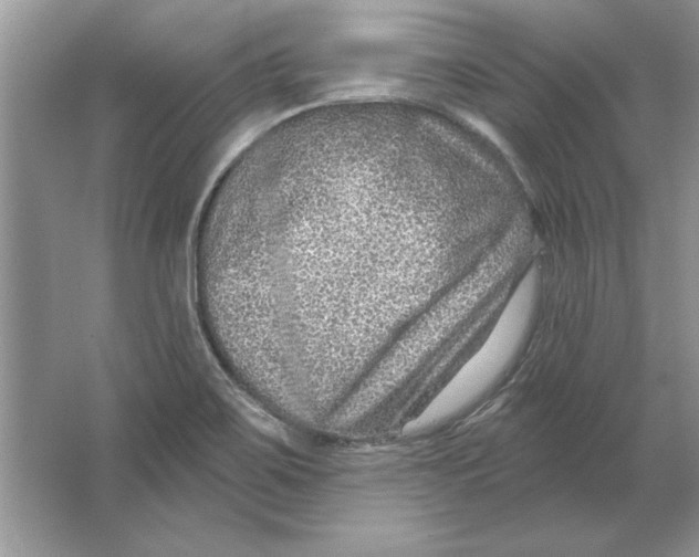 X0000064761467200603031747