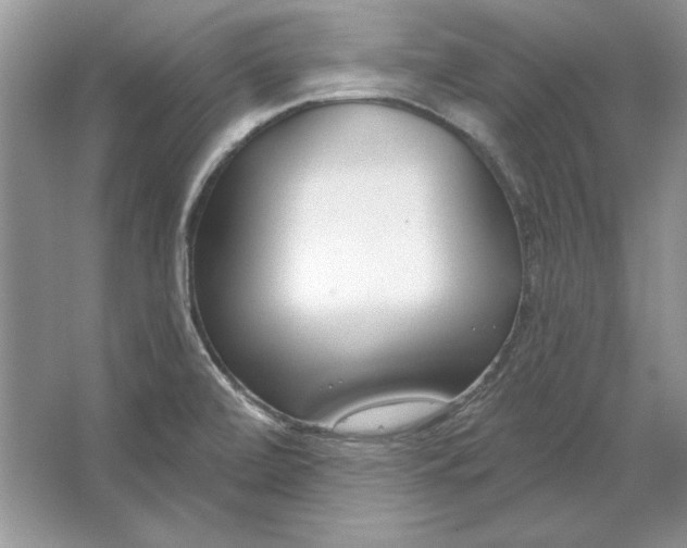 X0000064761472200603031746