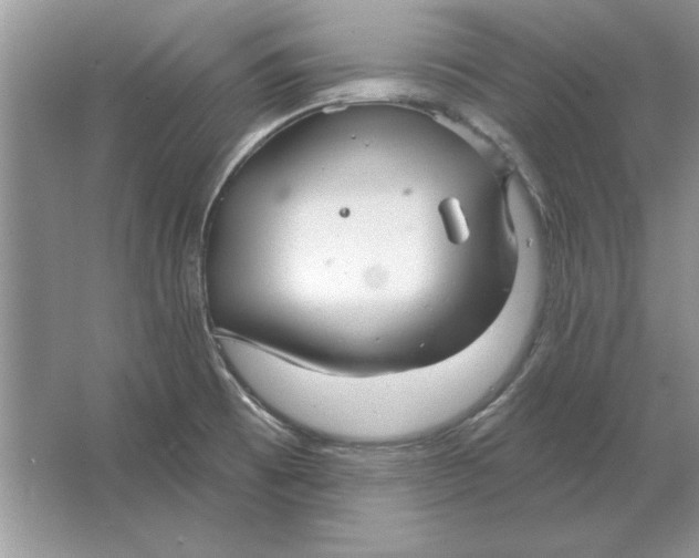 X0000064761473200603031746