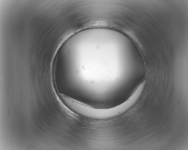 X0000064761475200603031746