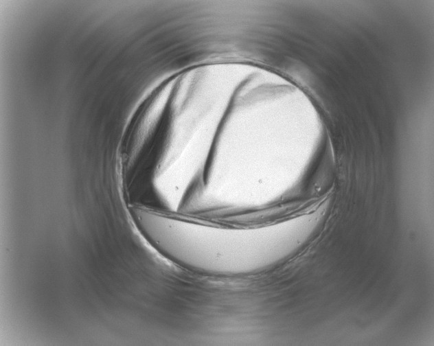 X0000064761476200603031746