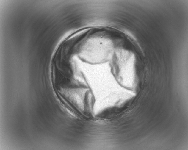 X0000064761480200603031746