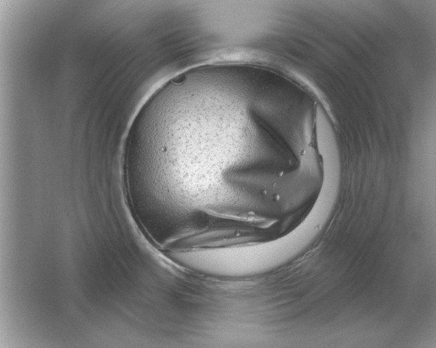 X0000064761483200603031746