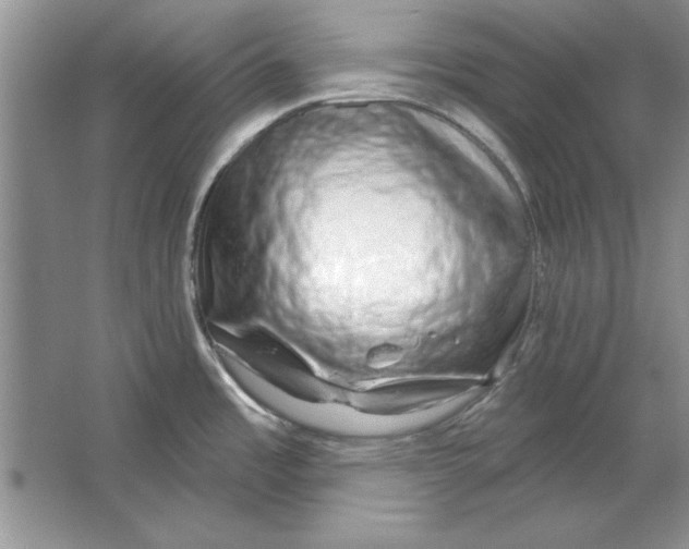 X0000064761485200603031746