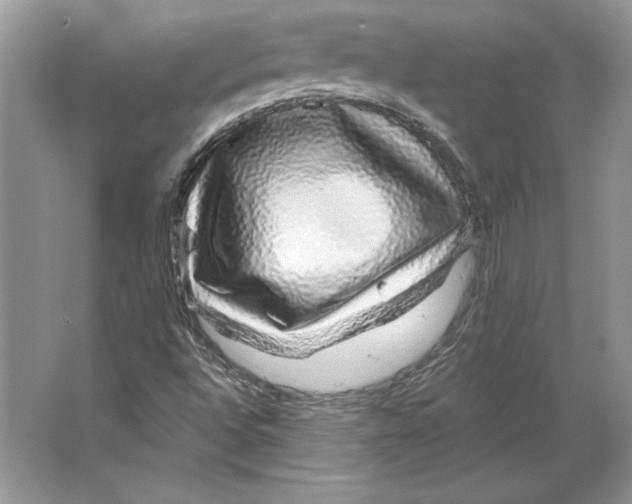 X0000064761496200603031746