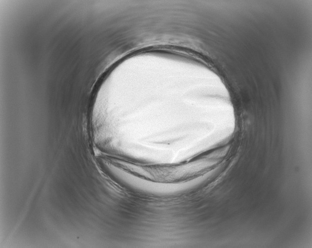 X0000064761505200603031746