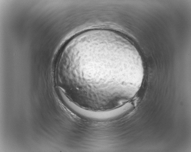 X0000064761506200603031746