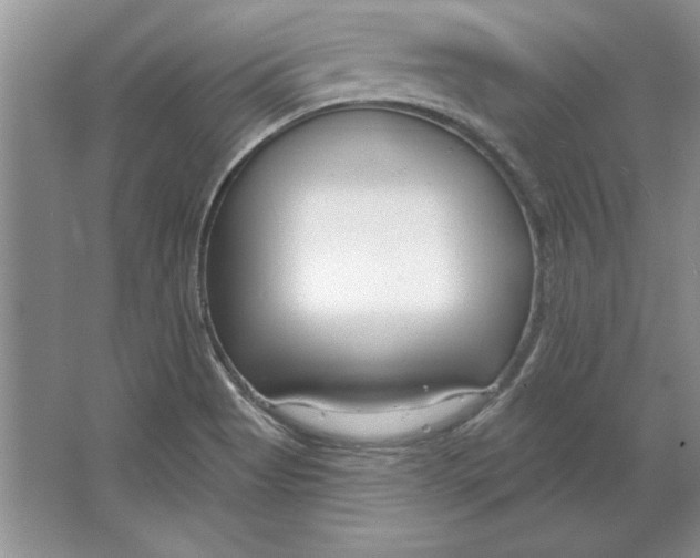 X0000064761513200603031746