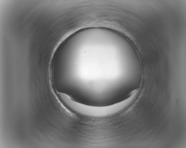 X0000064761517200603031746