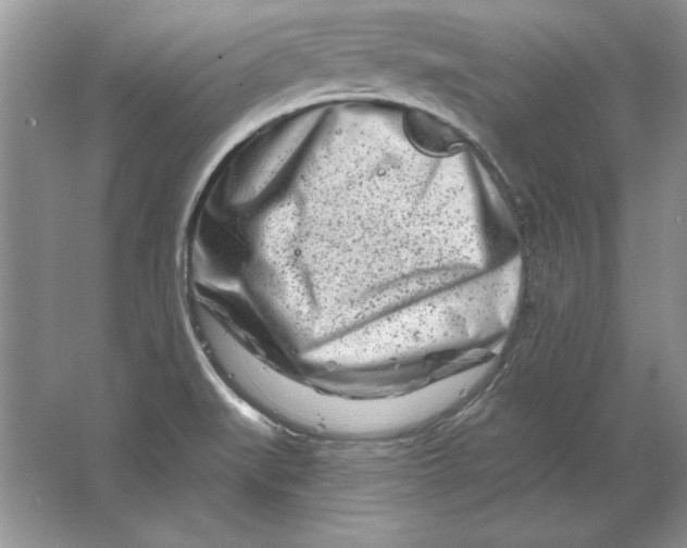 X0000064761519200603031746
