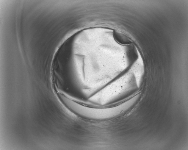 X0000064761525200603031746
