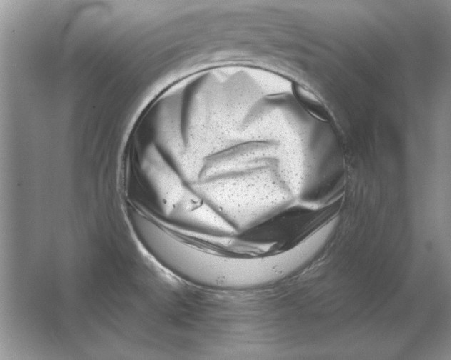 X0000064761527200603031746