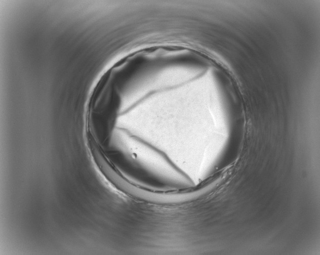 X0000064761528200603031746
