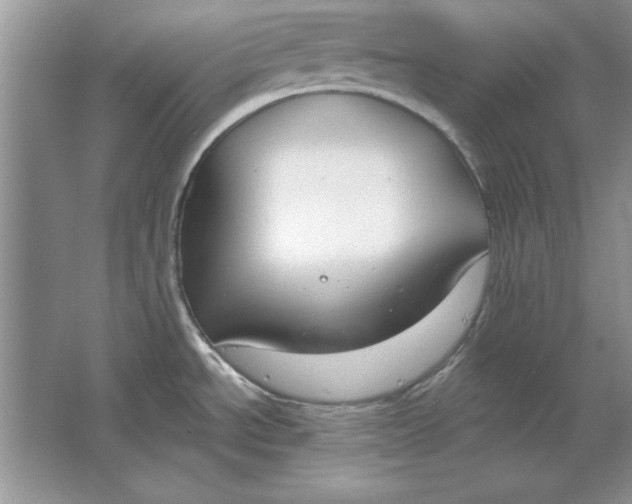 X0000064761534200603031746