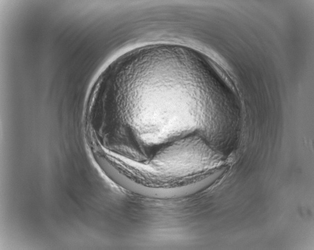 X0000064761536200603031746