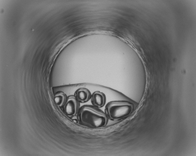 X0000064760001200603131420