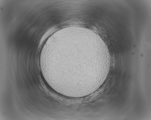 X0000064760004200603131420