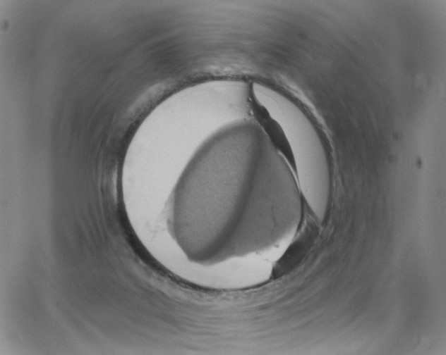 X0000064760019200603131420