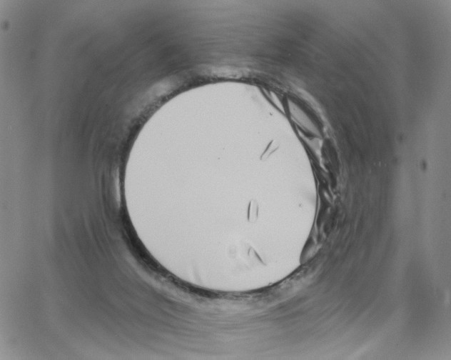 X0000064760020200603131420