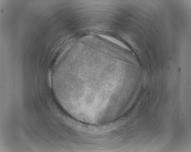 X0000064760022200603131420