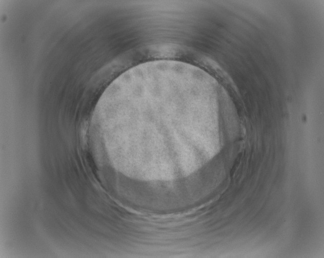 X0000064760026200603131420