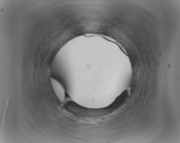 X0000064760033200603131420