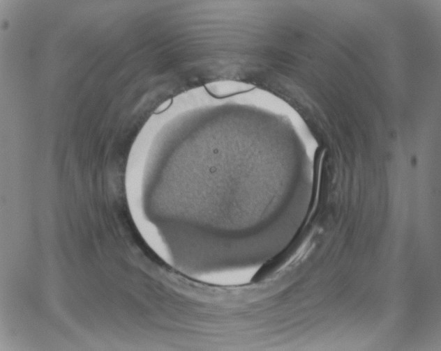 X0000064760035200603131420